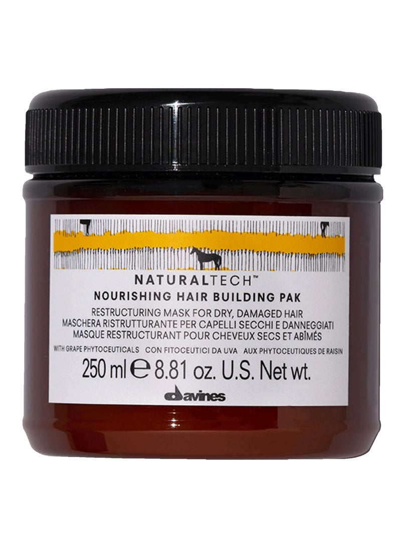 Davines Naturaltech Nourishing Hair Building Pak Mask for Dry and Damaged Hair 250ml - Image 1