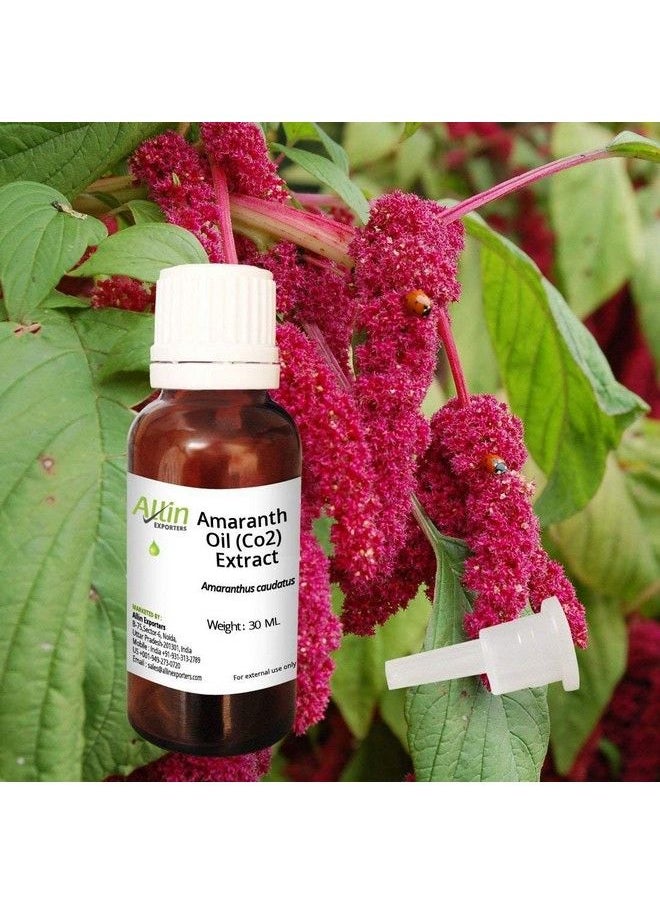 Allin Exporters - Amaranth Oil (Co2) Extract 100% Pure Natural And Undiluted 30 Ml - Image 1