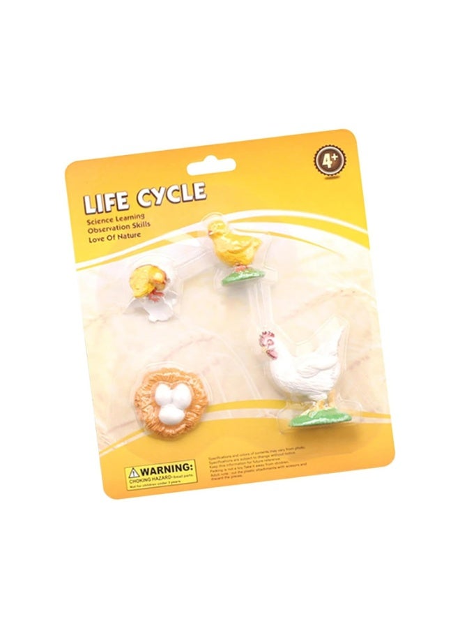 Chicken Life Cycle For Teaching Set For Science Students And Schools - Image 1