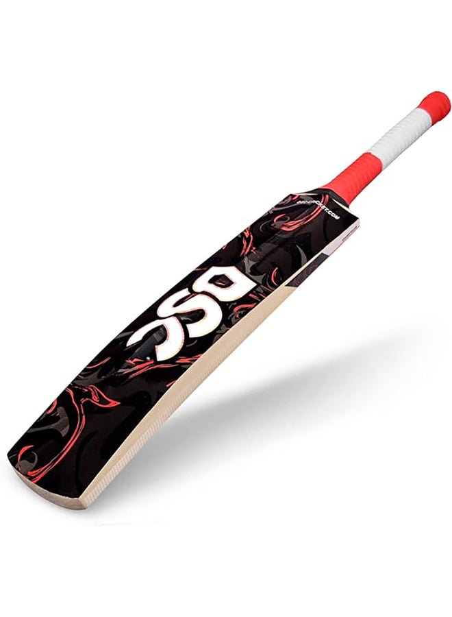 DSC Drake Cricket Bat For Mens and Boys (Size - 4) | Material: Kashmir Willow | Lightweight | Free Cover | Ready to play | For Intermediate Player - Image 3