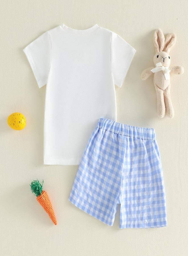 Thilsidee Toddler Baby Boy Girl Easter Outfits Short Sleeve Embroidery Carrot T-shirt Gingham Plaid Shorts Summer Clothes Set (A-White, 2-3T) - Image 3