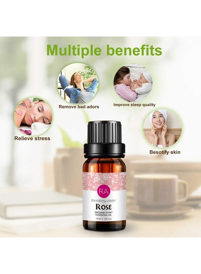 Rainbow Abby Rose Essential Oil 100% Pure Organic Rose Oil for Diffuser, Perfume, Massage, Aroma, Bath - 10ML - Image 3