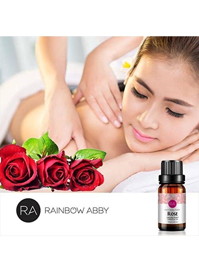 Rainbow Abby Rose Essential Oil 100% Pure Organic Rose Oil for Diffuser, Perfume, Massage, Aroma, Bath - 10ML - Image 5