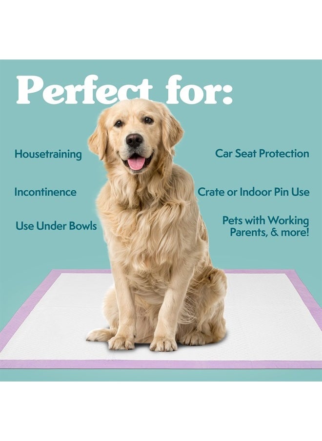 Simple Solution 6-Layer All Day Premium Dog Pads | Lavender Scent | 23 x 24 100 pads  - Image 3