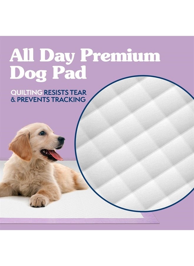 Simple Solution 6-Layer All Day Premium Dog Pads | Lavender Scent | 23 x 24 100 pads  - Image 4