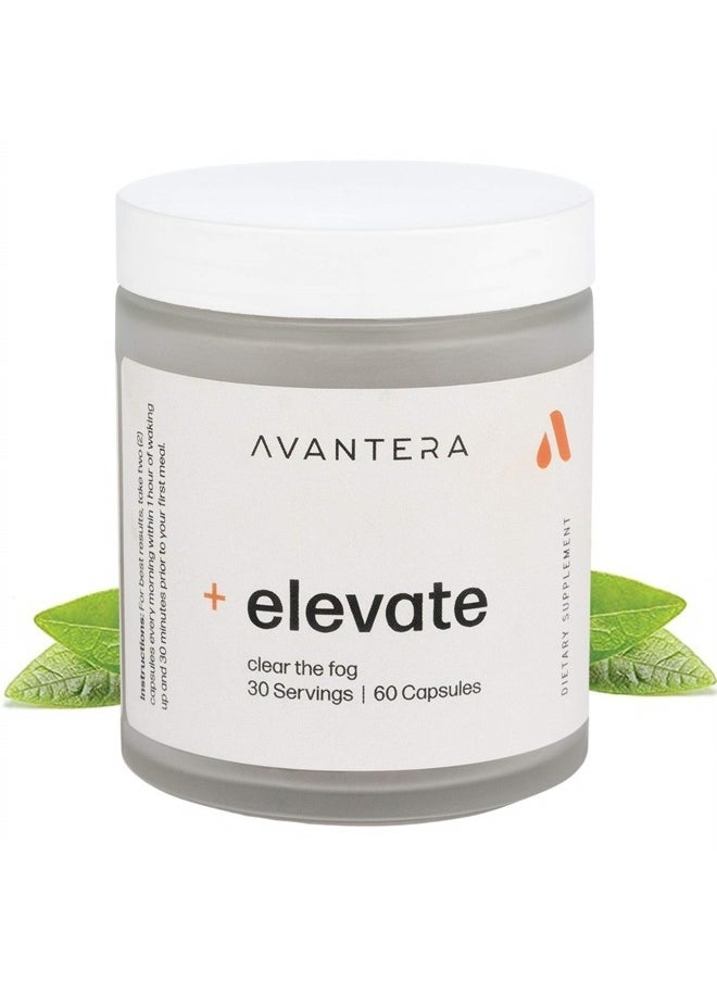 Avantera Premium Nootropic, Elevate | Energy, Focus, Mood, & Gut Health | 30 Day Supply 