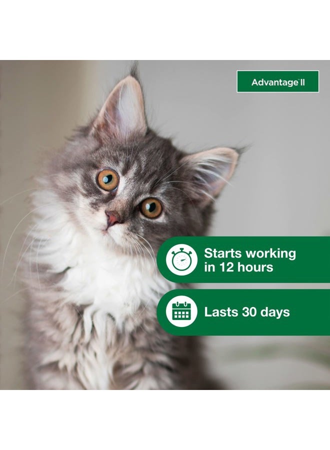 Advantage Bayer II Flea Prevention for Cats - Image 5