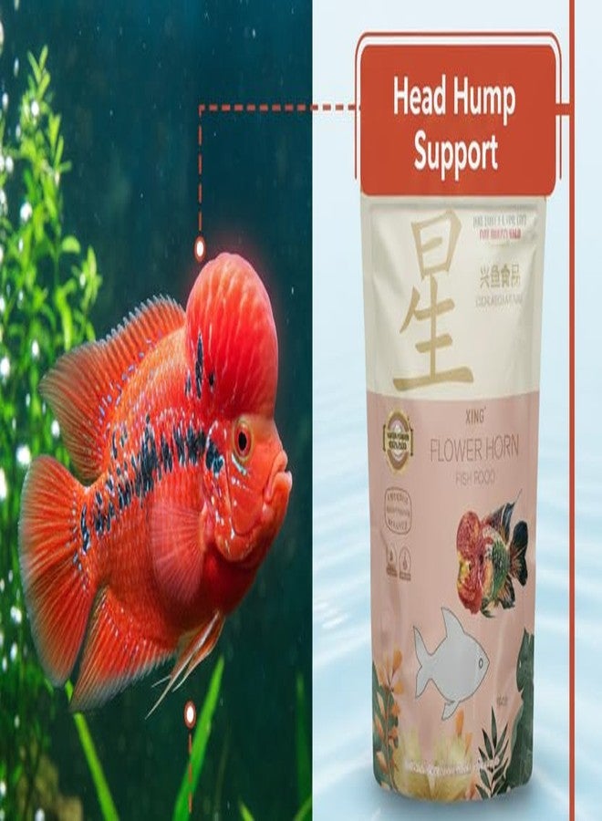 Scroll Store Xing Flowerhorn Fish Food 100g - Color Enhancing & Growth Formula | High Protein, Head Hump Development | Floating Pellets for Flowerhorn - Image 4