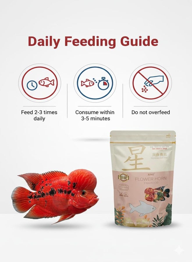 Scroll Store Xing Flowerhorn Fish Food 100g - Color Enhancing & Growth Formula | High Protein, Head Hump Development | Floating Pellets for Flowerhorn - Image 3
