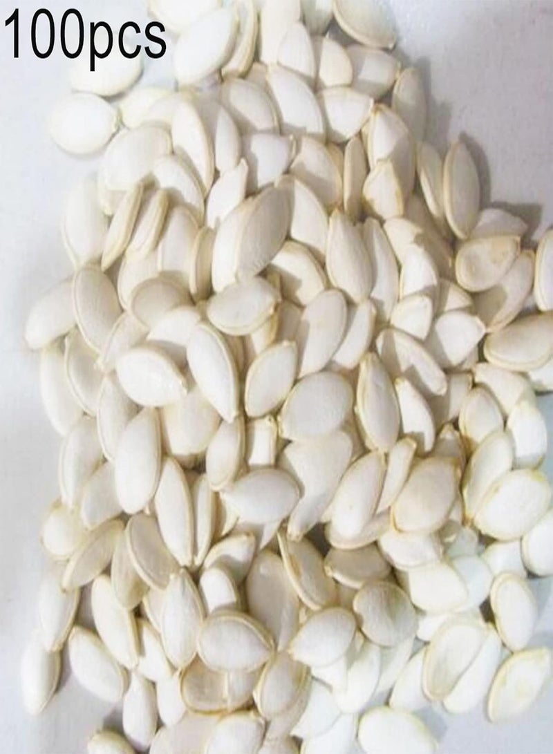 جي جوت بذور فاكهة طازجة مع 100 قطعة من بذور التين فيكوس كاريكا للحديقة المنزلية وفناء المزرعة ونباتات الفاكهة وديكور بونساي لزراعة الحديقة وفناء المنزل والمناظر الطبيعية - Image 2