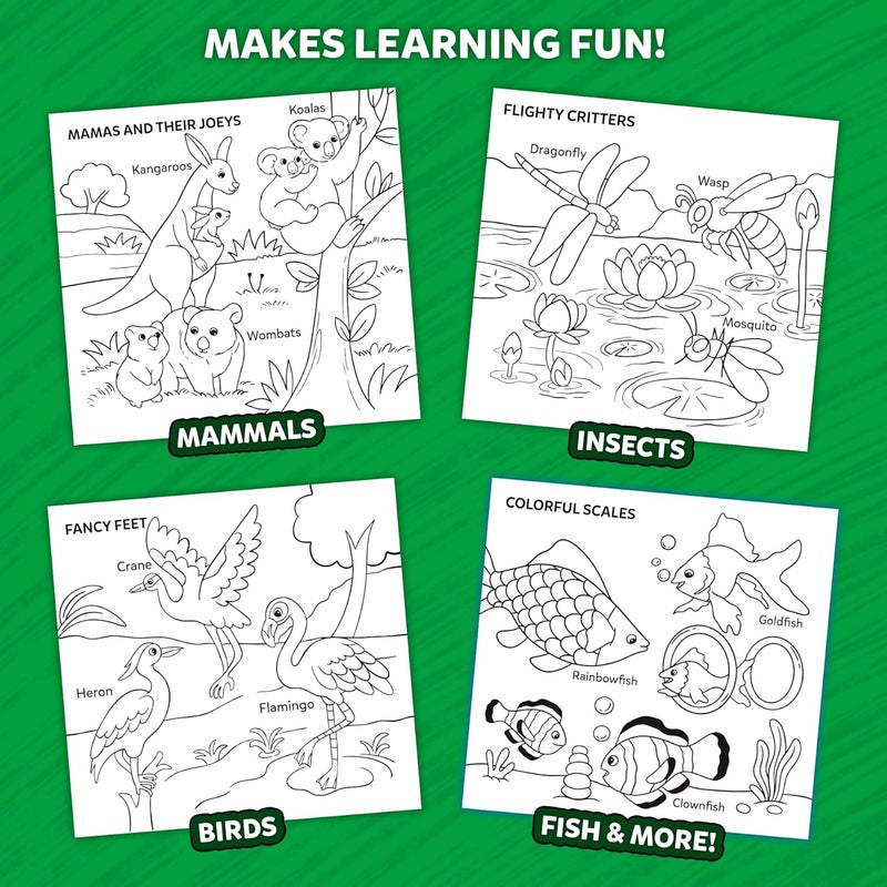 Skillmatics Colouring Book - 50 Tear-Out Pages and 12 Retractable Mess-Free Crayons, Colour and Learn 160+ Animals, Educational Gift for Toddlers and Preschoolers Ages 3, 4, 5, 6 - Image 4