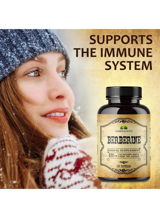 HERBALICIOUS مكمل بيربرين 100 كبسولة مكمل غذائي بيربرين Hcl للرجال والنساء غير معدل وراثيًا بيربرين 500 ملغ مثالي لدعم المناعة ومستويات الكوليسترول في القلب - Image 3