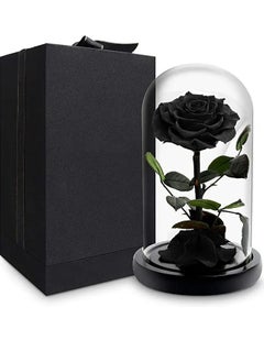 Black Rose Elegance Dome - pzsku/Z9A56B5A6C213725E7EBDZ/45/_/1724320882/dbf2dc4f-1360-40d5-bde1-437d666c5512