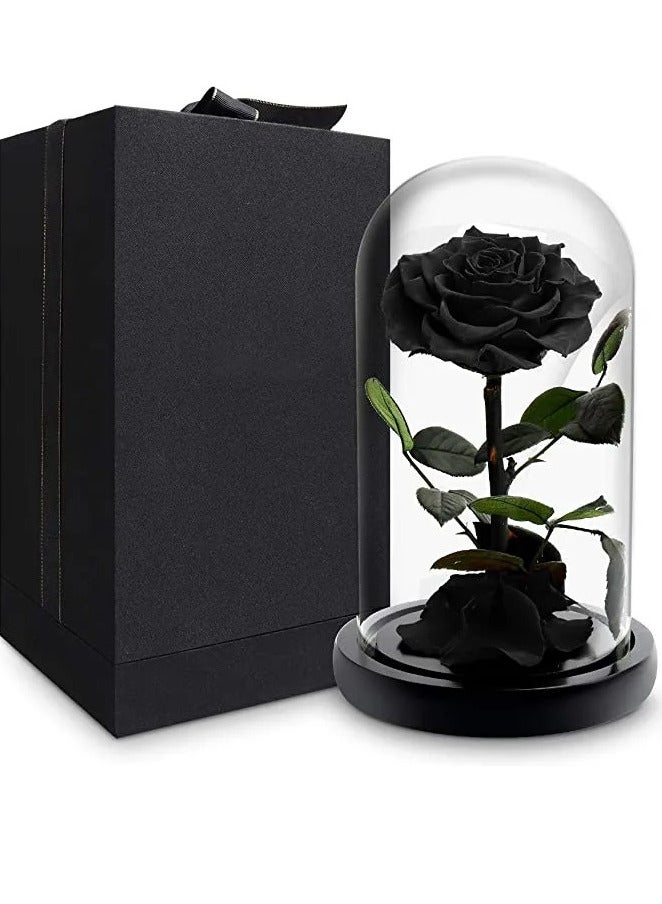 Rose Black Rose Elegance Dome