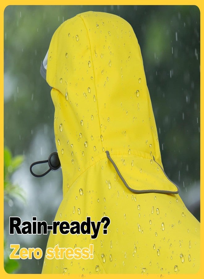 دينتران معطف مطري للكلاب من دينترون، مناسب لكلاب البودل والبيشون - مبطن بشبكة تسمح بالتهوية، بدون أكمام، سهل الارتداء - مثالي للمشي في الأيام الممطرة، وزيارات الحدائق، والسفر، - Image 3