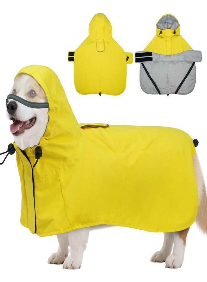 دينتران معطف مطري للكلاب من دينترون، مناسب لكلاب البودل والبيشون - مبطن بشبكة تسمح بالتهوية، بدون أكمام، سهل الارتداء - مثالي للمشي في الأيام الممطرة، وزيارات الحدائق، والسفر، - Image 1