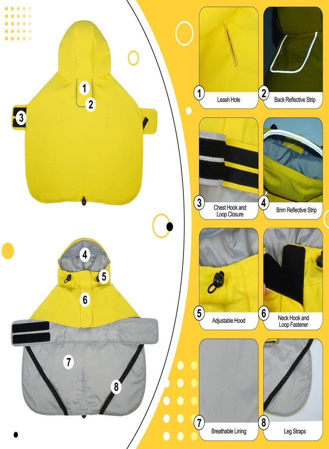 دينتران معطف مطري للكلاب من دينترون، مناسب لكلاب البودل والبيشون - مبطن بشبكة تسمح بالتهوية، بدون أكمام، سهل الارتداء - مثالي للمشي في الأيام الممطرة، وزيارات الحدائق، والسفر، - Image 4