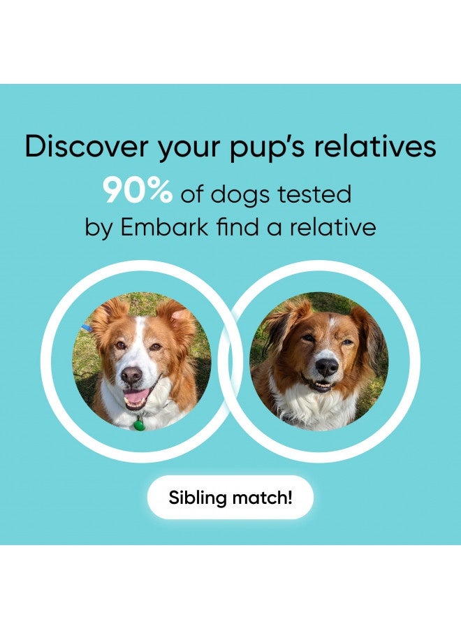 Embark | Dog Dna Test | Breed And Health Kit | Breed Identification And Canine Genetic Health Screening