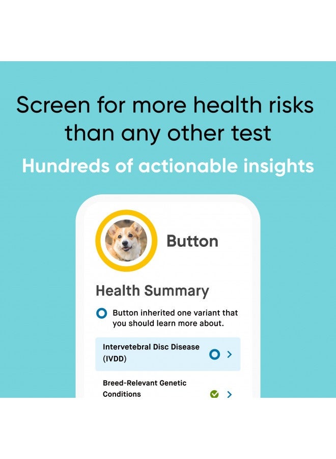 Embark | Dog Dna Test | Breed And Health Kit | Breed Identification And Canine Genetic Health Screening