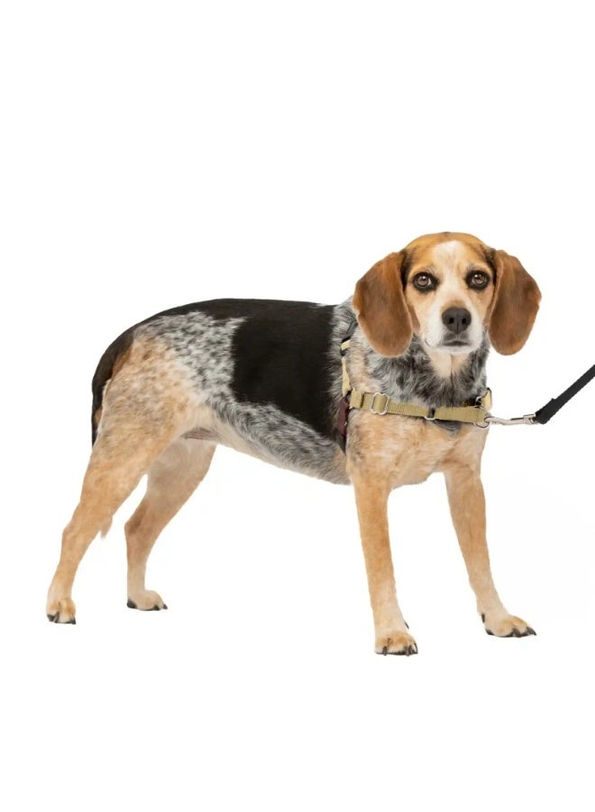 بيت سيف حزام تدريب سهل المشي للكلاب من بيت سيف | تصميم مانع للسحب والشد | صغير/متوسط ​​| حزام تدريب مريح وقابل للتعديل - Image 1