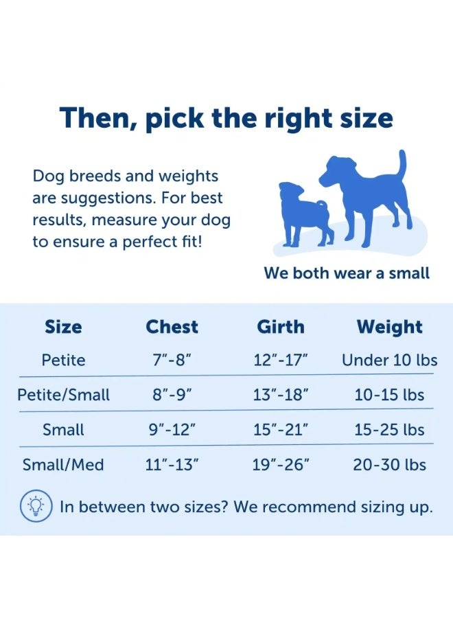 بيت سيف حزام تدريب سهل المشي للكلاب من بيت سيف | تصميم مانع للسحب والشد | صغير/متوسط ​​| حزام تدريب مريح وقابل للتعديل - Image 5