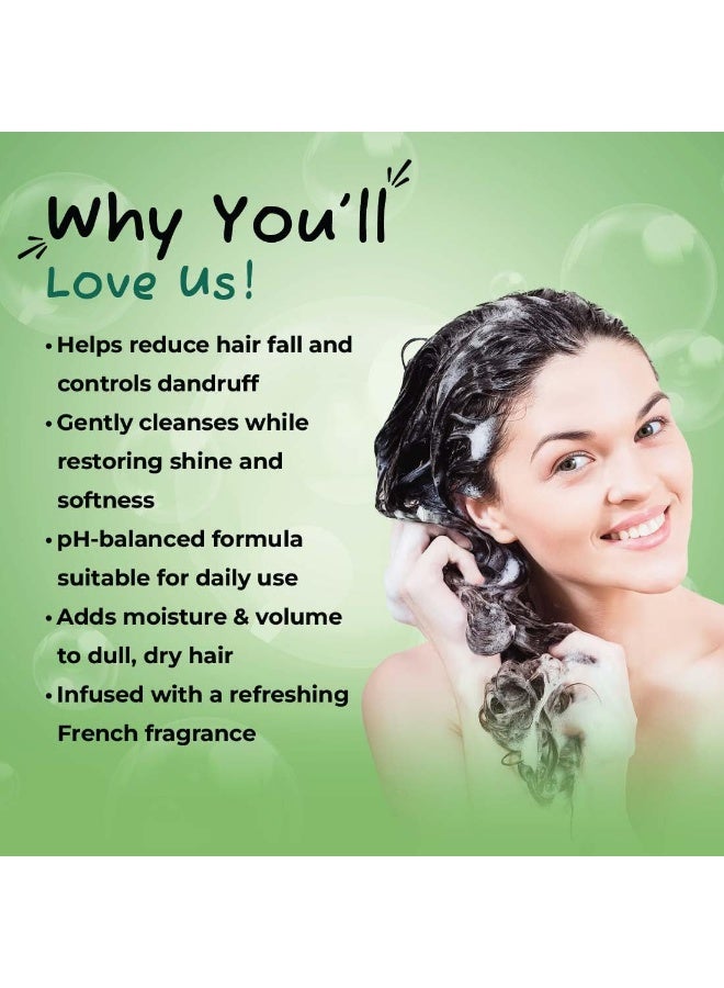 صني شامبو صني هيربالز بزهرة الأرنيكا | يقلل من تساقط الشعر | يقوي الشعر من الجذور | يهدئ حكة فروة الرأس | يتحكم في قشرة الرأس | يضيف لمعانًا طبيعيًا | مصنوع من الأرنيكا والكاثريس | لجميع أنواع الشعر، 1 لتر - Image 5