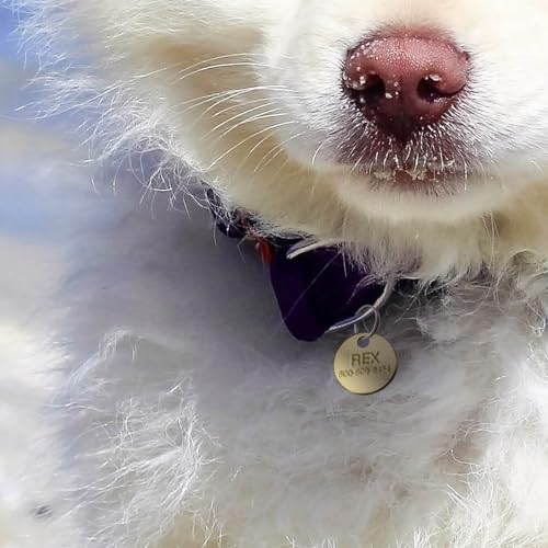 Lucky Line Solid Brass Round Tag - One Hole and 1-1/4 Inch Diameter, 100 Per Box (26012) - Image 5