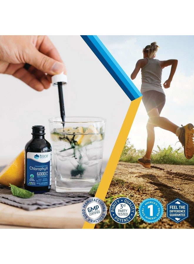 Trace Minerals Concentrated Ionic Chlorophyll - Natural Cleanse Support Health Supplement - Supplement to Support Immune System Health - Aids Digestive Health - Natural Mint, 2 fl oz (120 Servings) - Image 5