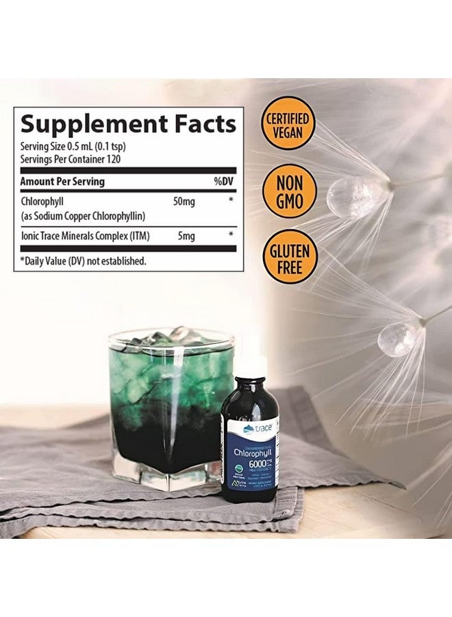 Trace Minerals Concentrated Ionic Chlorophyll - Natural Cleanse Support Health Supplement - Supplement to Support Immune System Health - Aids Digestive Health - Natural Mint, 2 fl oz (120 Servings) - Image 2