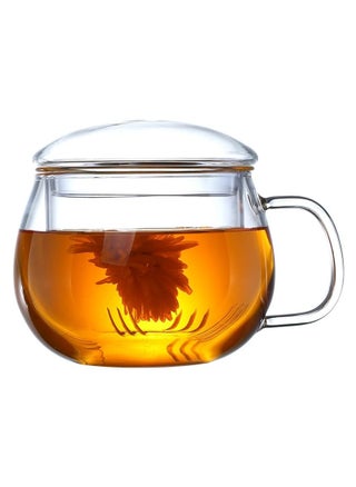 Glass Tea Mug with Infuser and Lid, Durable Tea Cup for Loose Leaf Tea, 400ml (13.5 Oz) - pzsku/Z9A601BA601A6FC7280A8Z/45/_/1719679847/1fcabf4d-2269-4b22-ab19-34d64e43255c