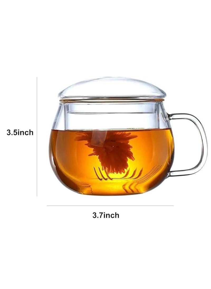 Glass Tea Mug with Infuser and Lid, Durable Tea Cup for Loose Leaf Tea, 400ml (13.5 Oz)