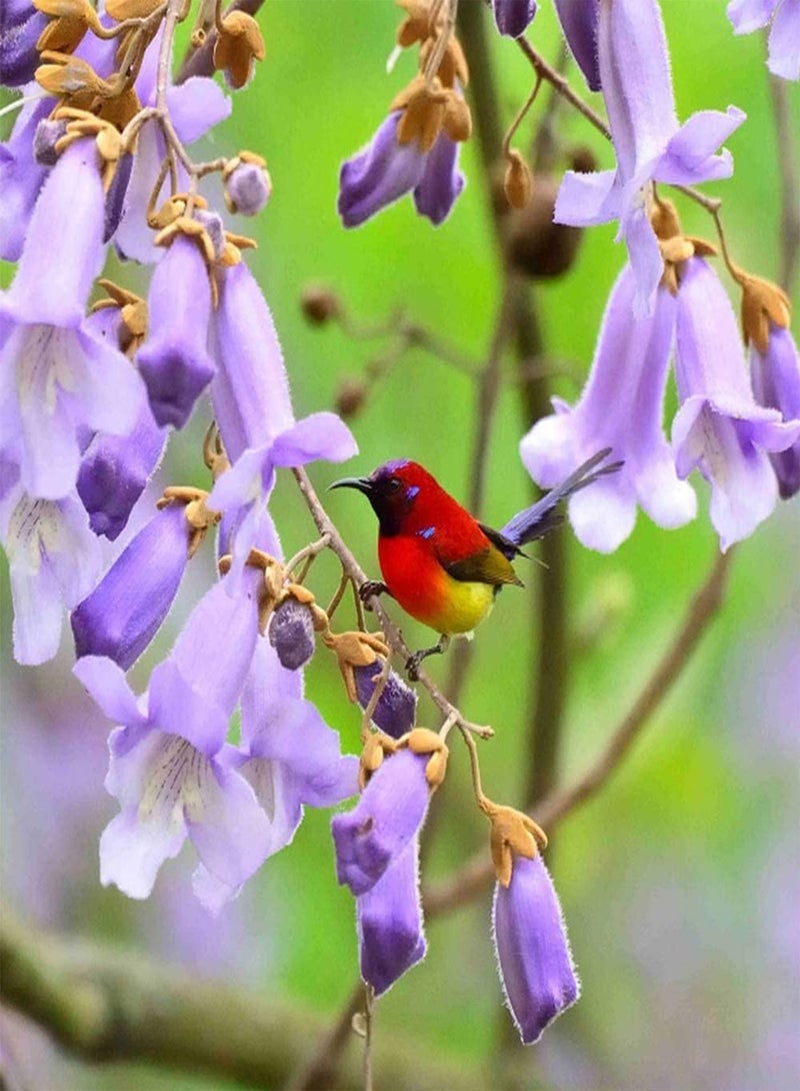 GGOOT 50Pcs Paulownia Seeds for Planting Deciduous Tree Elegant Tree Beautiful Garden Landscape Gardeners' Favorite Varieties Easy to Maintain - Image 1