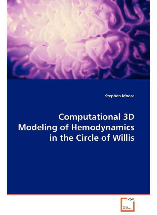 Computational 3D Modeling of Hemodynamics in the Circle of Willis