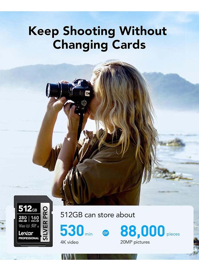 ليكسار بطاقة ذاكرة احترافية 512 جيجابايت فضية PRO SDXC UHS-II، C10، U3، V60، فيديو بدقة Full-HD و 4K، سرعة قراءة تصل إلى 280 ميجابايت/ثانية، للمصورين المحترفين، مصوري الفيديو، والهواة (LSDSIPR512G-BNNNU) - Image 2