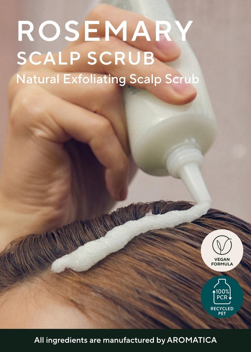 AROMATICA مقشر فروة الرأس من أروما تيكا روزماري 5.82 أونصة / 165 جرام، علاج فروة الرأس، مقشر فروة الرأس مع مقشر الملح لفروة الرأس الدهنية، إزالة تراكم القشرة - Image 2