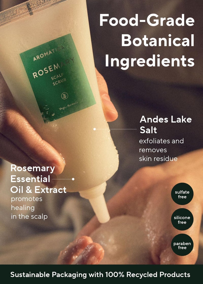 AROMATICA مقشر فروة الرأس من أروما تيكا روزماري 5.82 أونصة / 165 جرام، علاج فروة الرأس، مقشر فروة الرأس مع مقشر الملح لفروة الرأس الدهنية، إزالة تراكم القشرة - Image 5