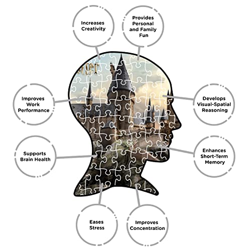 Aquarius Harry Potter Puzzle Hogwarts Castle (3000 Piece Jigsaw Puzzle) - Officially Licensed Harry Potter Merchandise & Collectibles - Glare Free - Precision Fit - 32x45in - Image 5