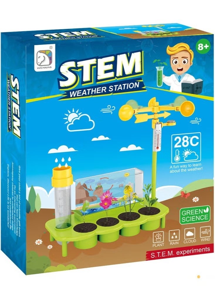 Dreamzon Toys for Children's Plant Ecological Weather station  - Image 1