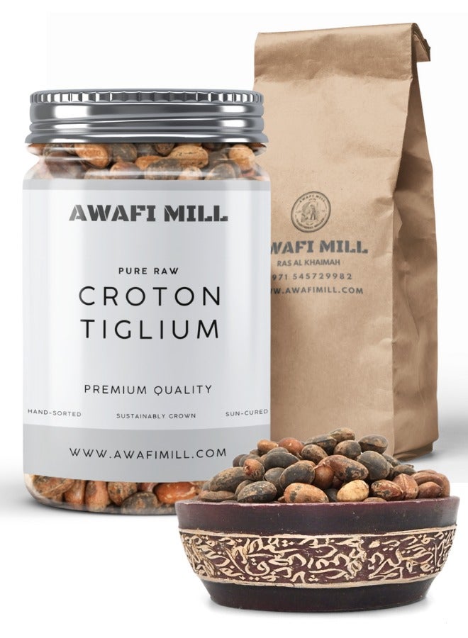 Awafi Mill AWAFI MILL Croton Tiglium Seeds | Jamalghota Seeds | Natural Seed nmkllllll  - Image 1