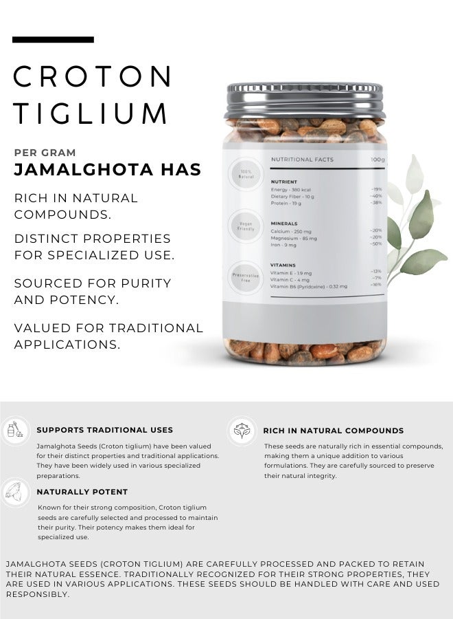 Awafi Mill AWAFI MILL Croton Tiglium Seeds | Jamalghota Seeds | Natural Seed nmkllllll  - Image 2