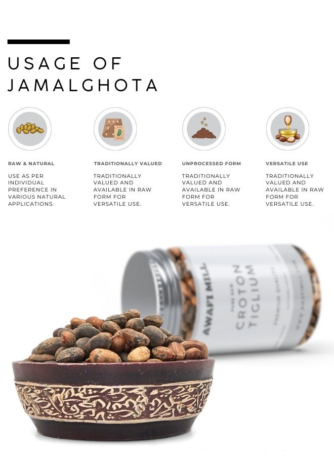 Awafi Mill AWAFI MILL Croton Tiglium Seeds | Jamalghota Seeds | Natural Seed nmkllllll  - Image 3
