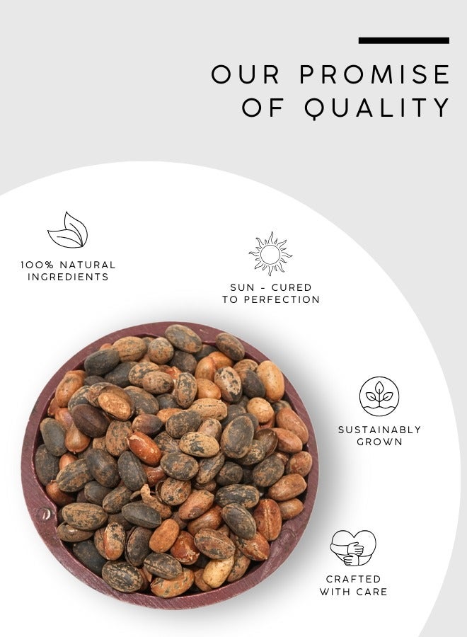 Awafi Mill AWAFI MILL Croton Tiglium Seeds | Jamalghota Seeds | Natural Seed nmkllllll  - Image 5
