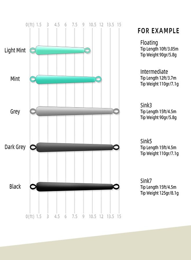 اس اف خيط صيد سمك السلمون SF Skagit Intermediate Tip Scandi 1D Spey Line مزود بحلقتين ملحومتين، لون نعناعي، وزن 125 غرام/8.1 غرام، طول 15 قدم/4.5 متر - Image 3