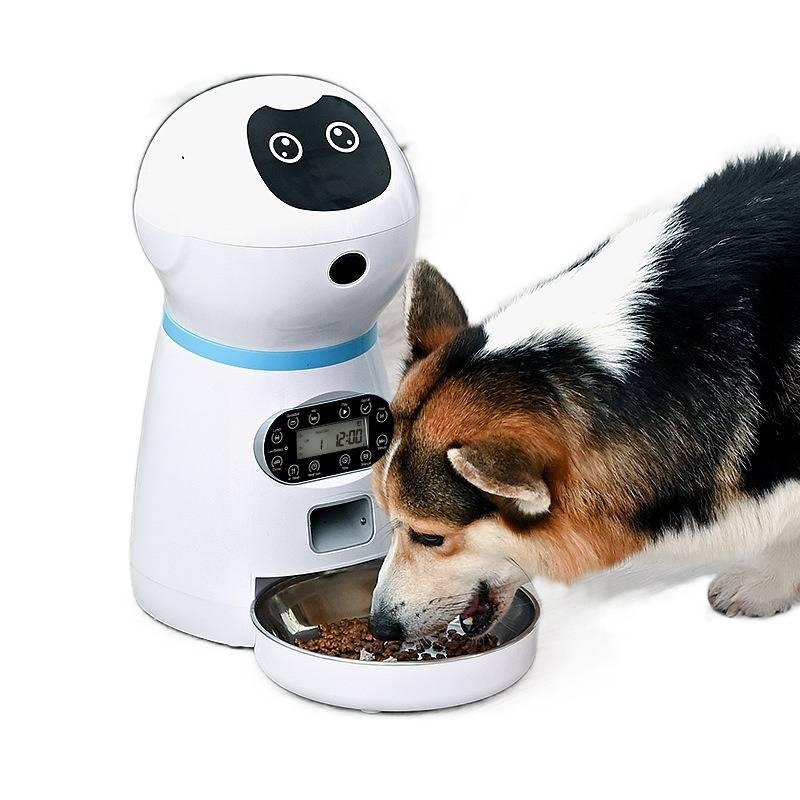 Automatic Feeder Pet Bowl Stainless Steel with Pet Food Bowl Routine Feeding Home Feeding Accessory - Image 2