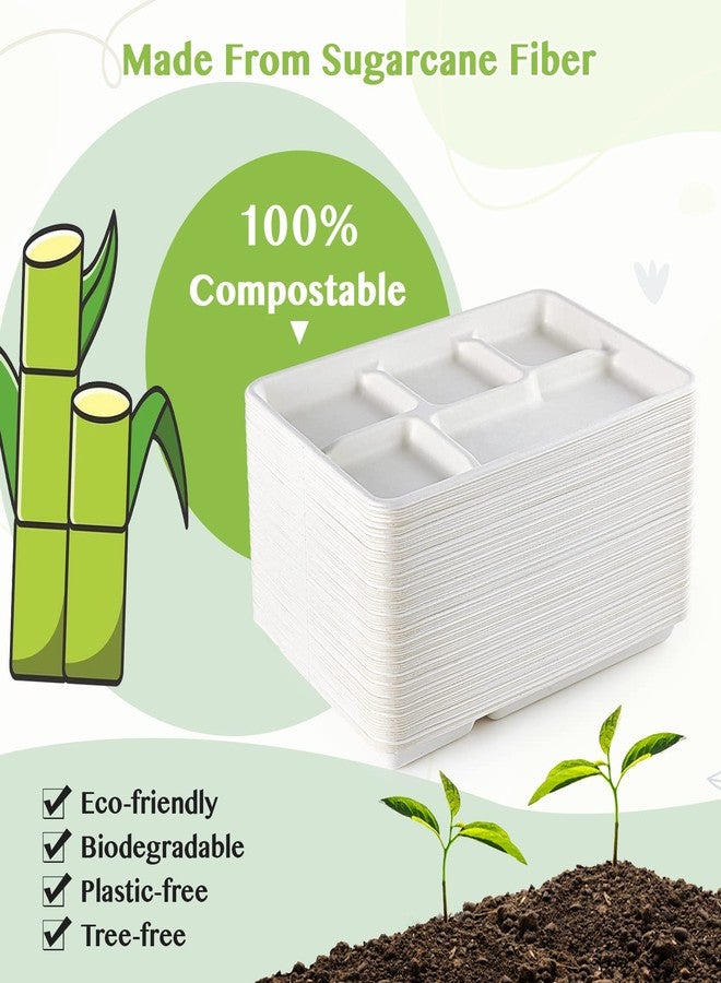 ECOLipak 100% Compostable 5 Compartment Plates, 100 Pack Disposable Compartment Paper Plates, 12.5 * 8.6 inch Biodegradable Sugarcane Plates, Eco-Friendly School Lunch Trays - Image 4