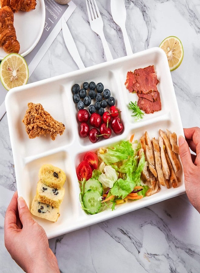 ECOLipak 100% Compostable 5 Compartment Plates, 100 Pack Disposable Compartment Paper Plates, 12.5 * 8.6 inch Biodegradable Sugarcane Plates, Eco-Friendly School Lunch Trays - Image 3