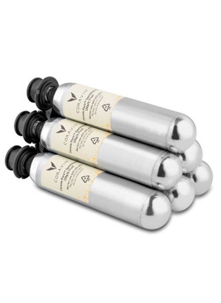 CO2 Capsules for Sparkling Wines for Use with Sparkling Preservation System | Each Capsule Holds Up to 7 Standard Bottles of 750 ml, Pack of 6 - pzsku/Z9A68EEFEF114952B3454Z/45/1743388573/329ad704-54bc-4566-8642-93c73ad1b068