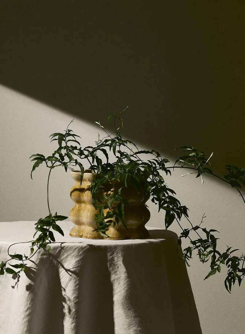 اتش اند ام Reactive-Glaze Plant Pot