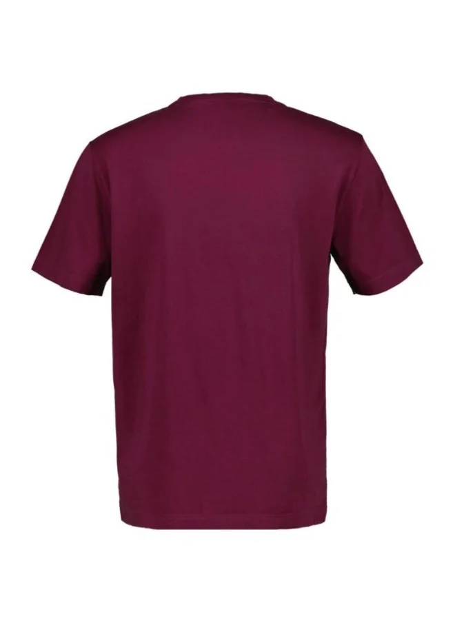 غانت Gant Washed Effect Tshirt