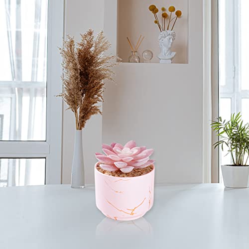 ZENIDA Succulent Artificial Plants,Cute Fake Succulents in 1 Pink Ceramic Pots,Small Fake Plants for Office,Table,Desk,Bathroom, Bedroom,Aesthetic Room Shelves Decor,Desk Decorations for Women Office - Image 3